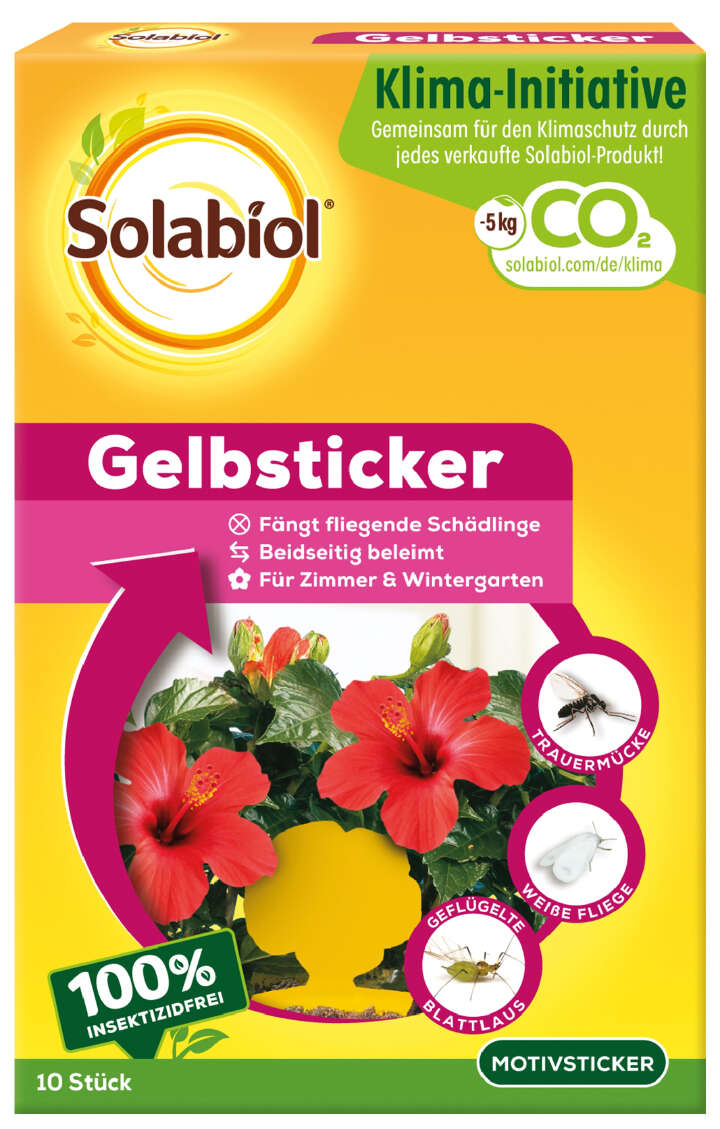 Solabiol Gelbsticker